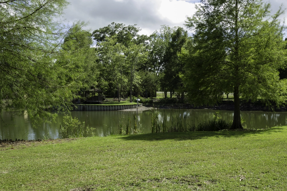 acadiana-treatment-center-education-program-gallery-2.jpg