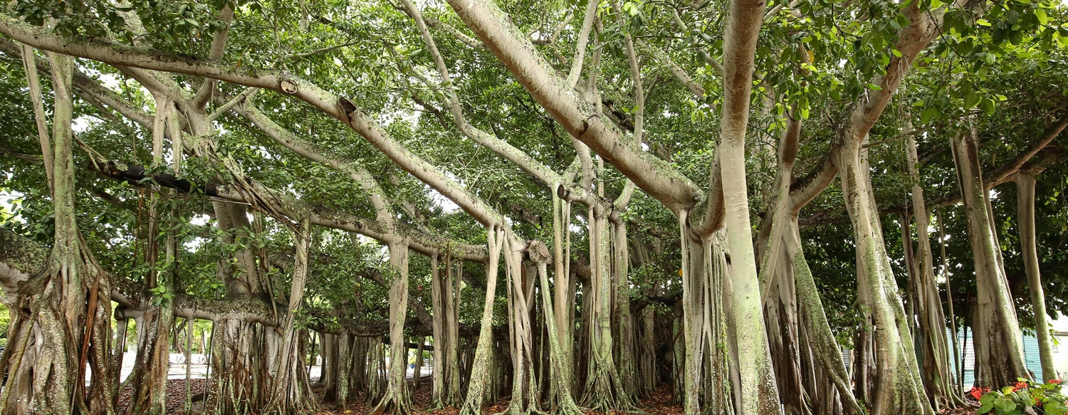 banyan-therapy-group-gallery.jpg