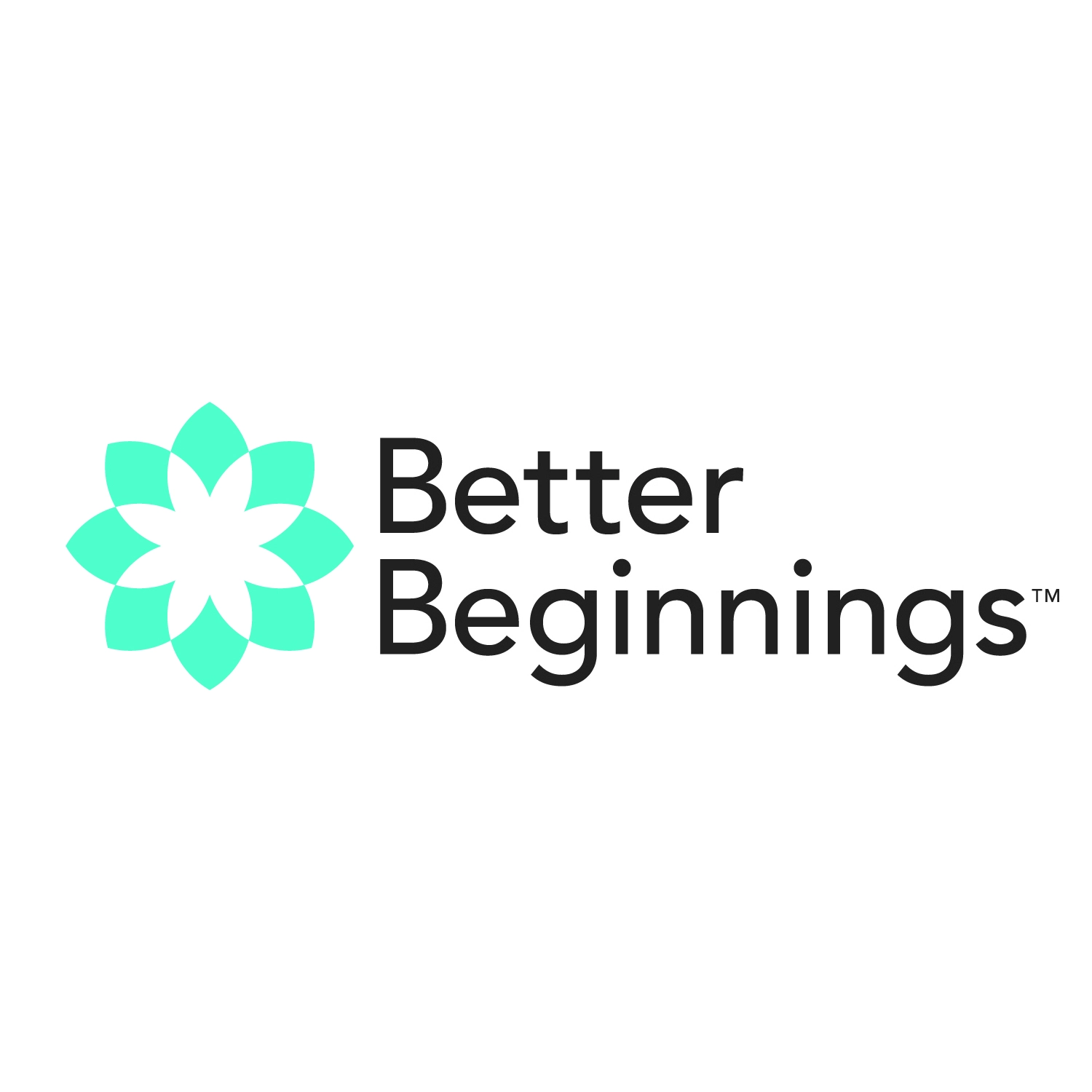 better-beginnings-llc-gallery.jpg