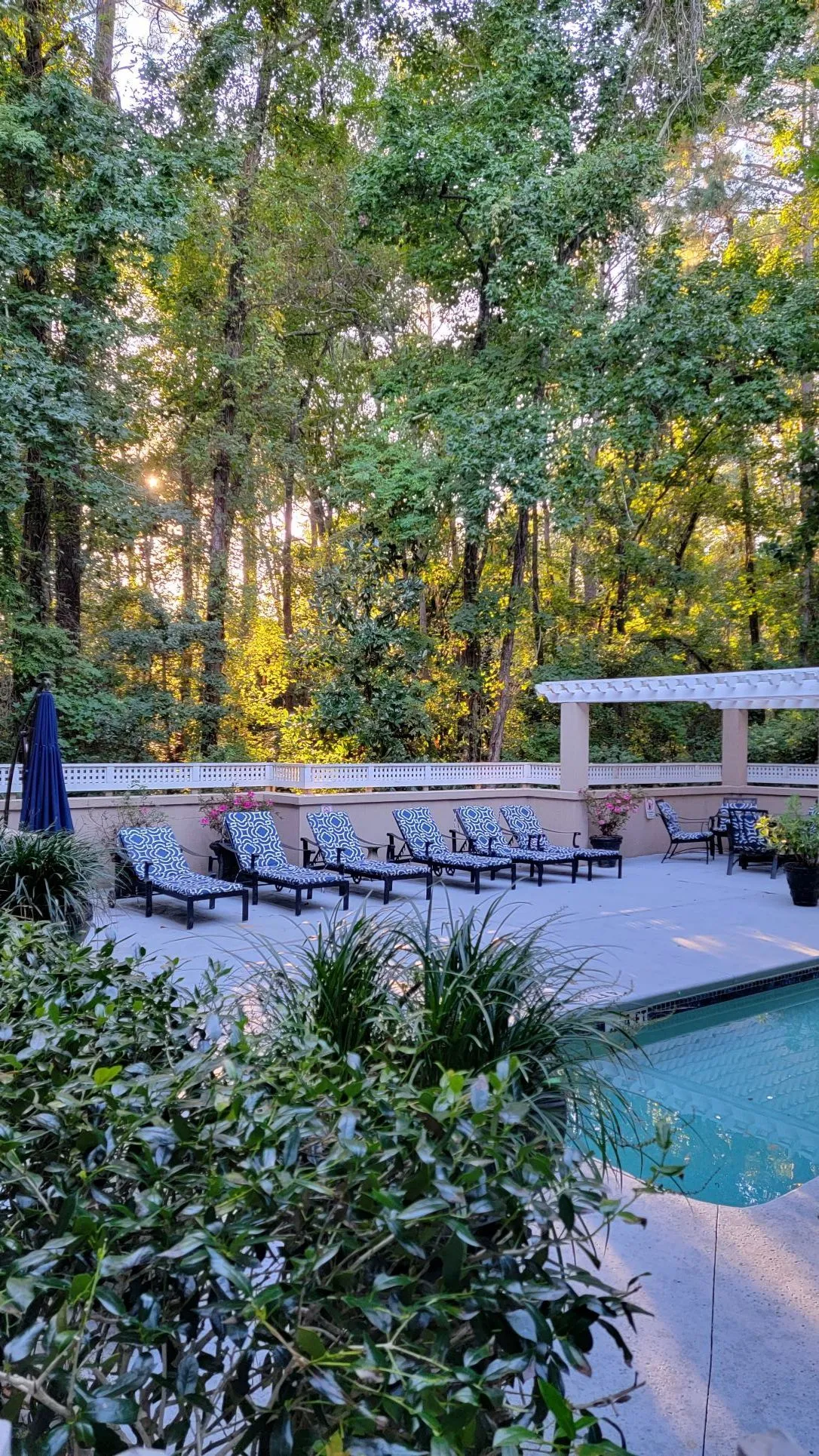britelife-recovery-south-carolina-gallery-1.jpg
