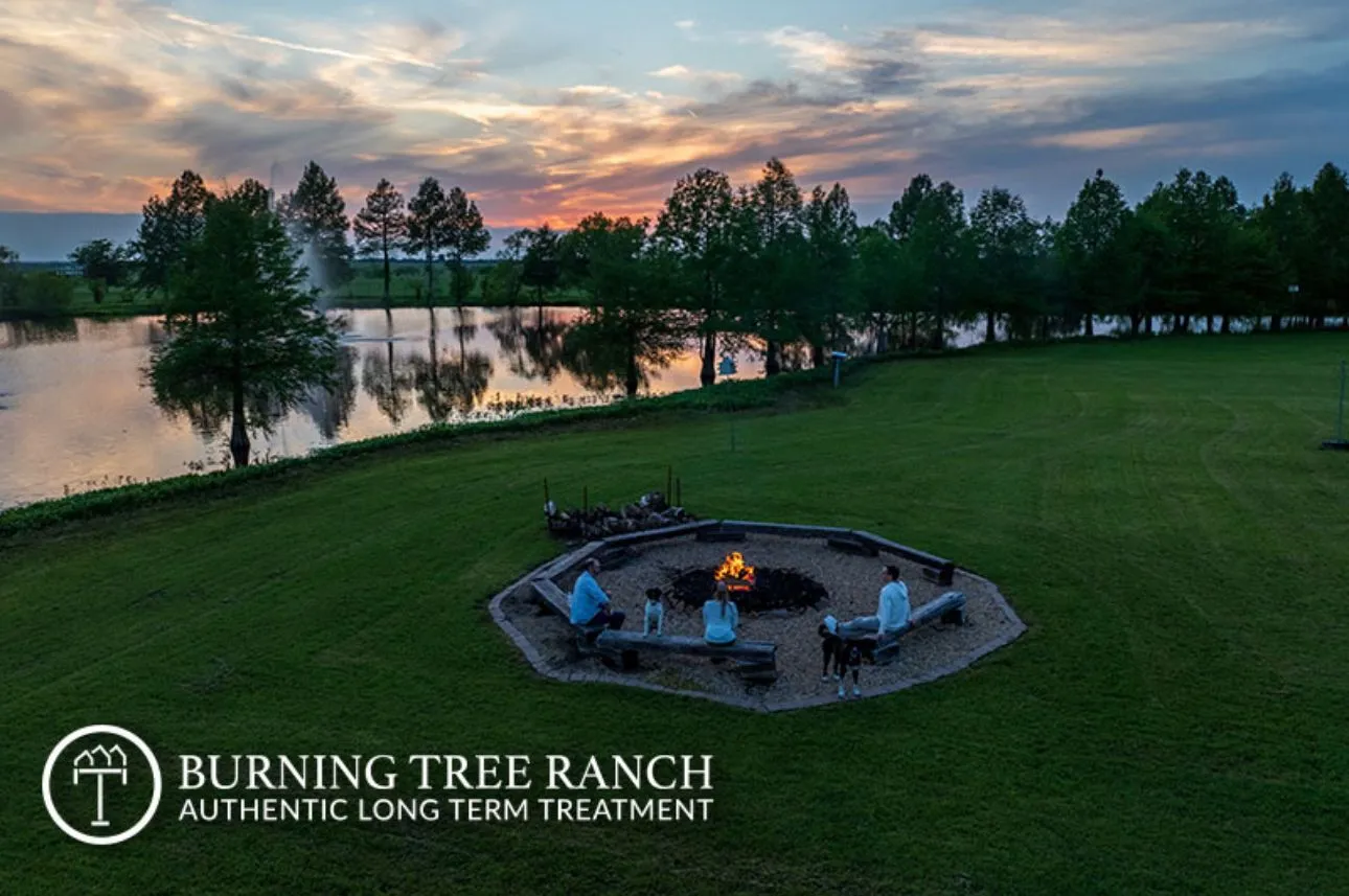 burning-tree-gallery-1.png