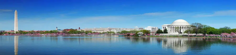 capitolhill-consortium-counseling-consultation-gallery.jpg