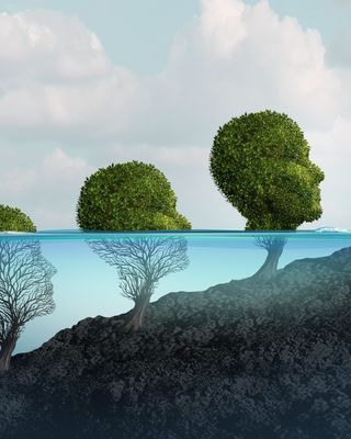 Chicago Psychoanalytic Institute Treatment Center Image