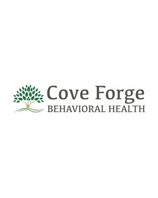 Cove Forge Behavioral Health - Detox Treatment Image