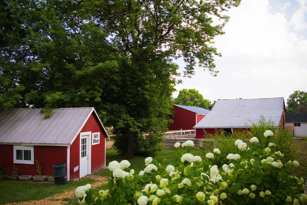 dawn-farm-gallery-4.jpg