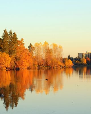 Greenlake Therapy Group Image