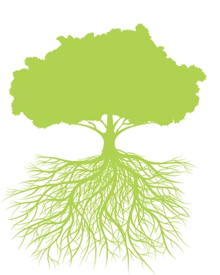 Healthy Foundations Group Image