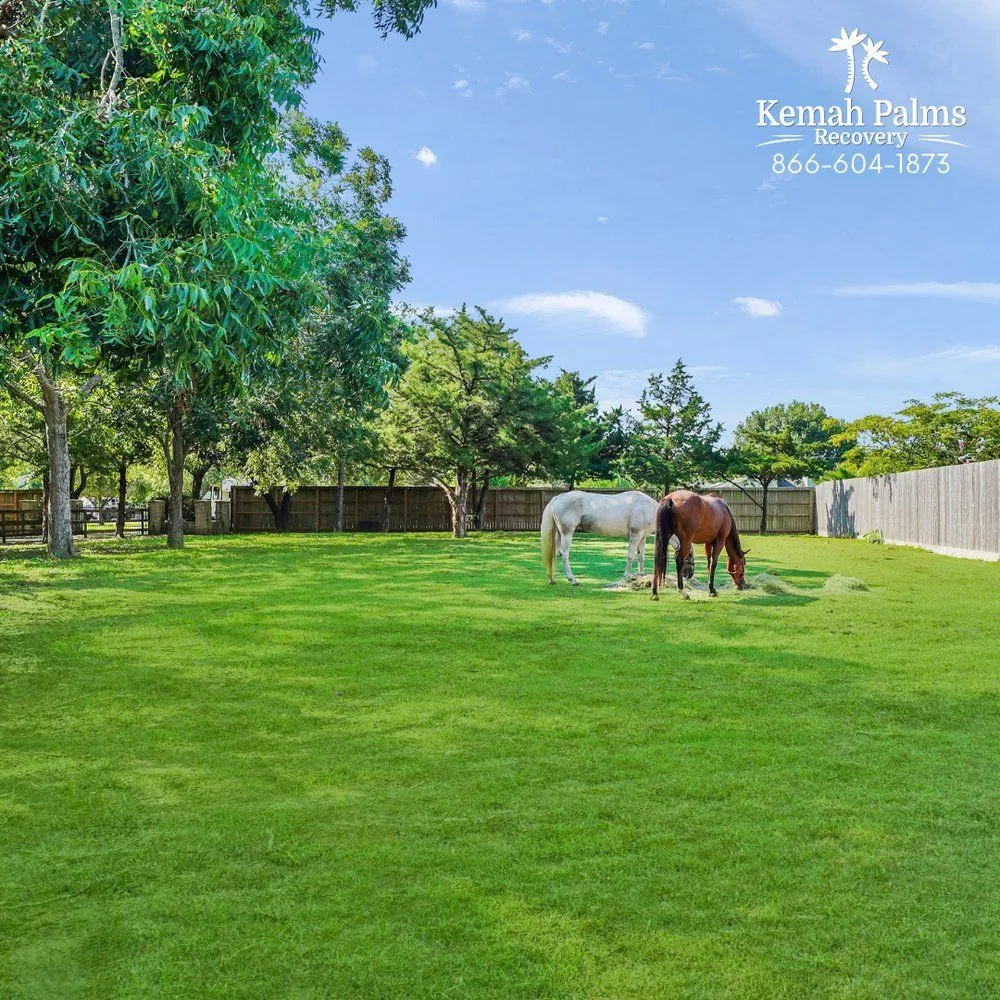 kemah-palms-recovery-gallery-1.jpg