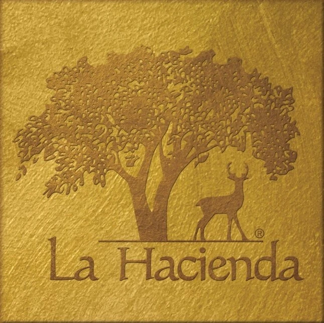 la-hacienda-treatment-center-gallery.jpg