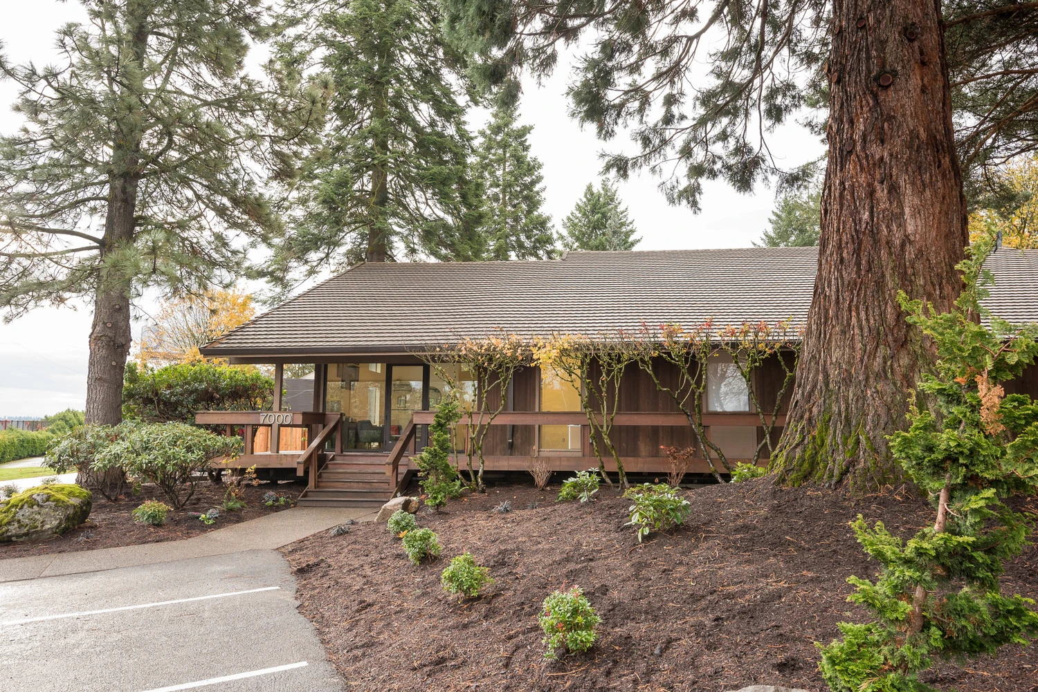 madrona-recovery-gallery.jpg