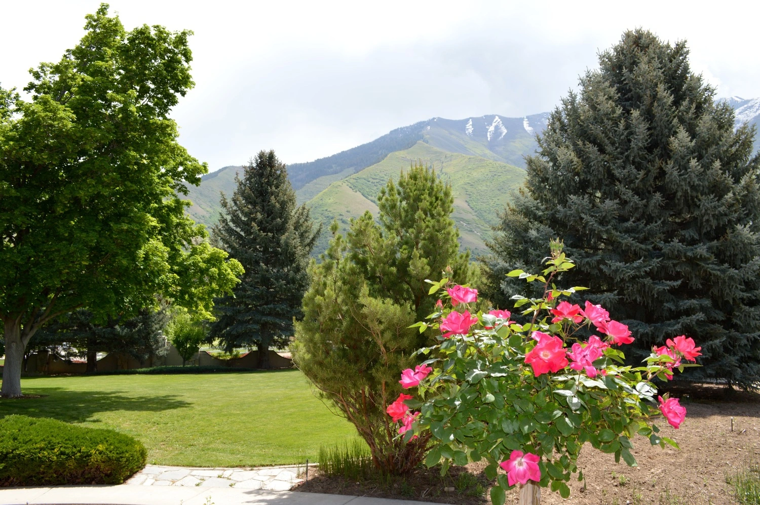 maple-mountain-mental-health-wellness-gallery-4.jpg