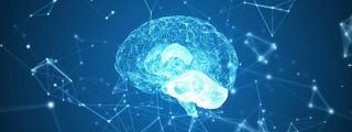 Mid Island Psychology Associates, PLLC Image