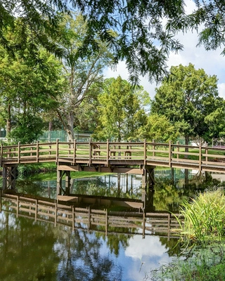 Orchard on the Brazos Recovery Image