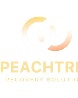 Peachtree Recovery Solutions Image