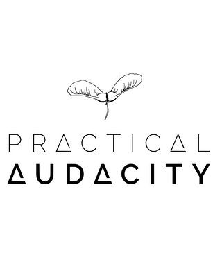 Practical Audacity Image