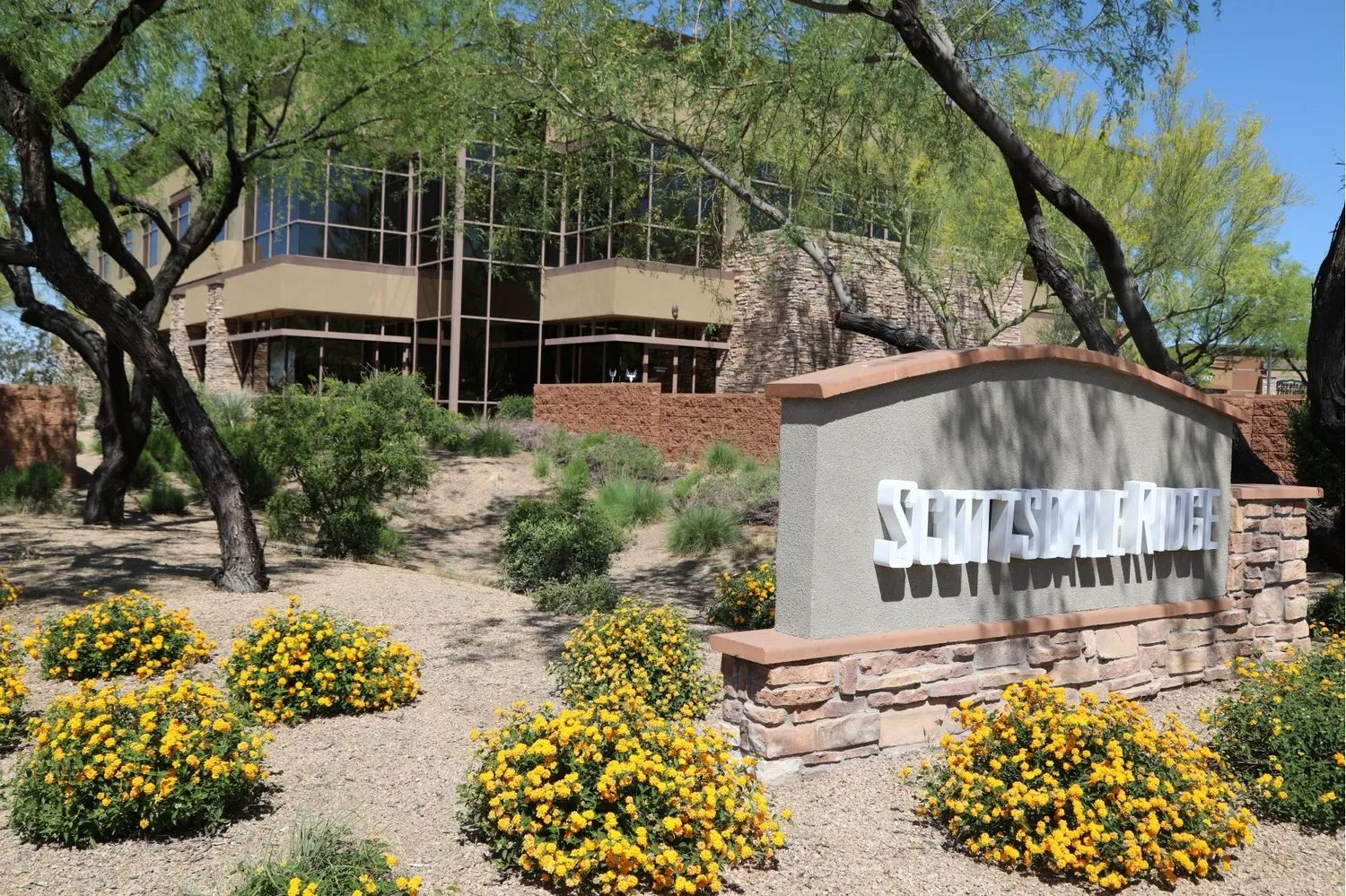 rising-phoenix-wellness-services-gallery-1.jpg