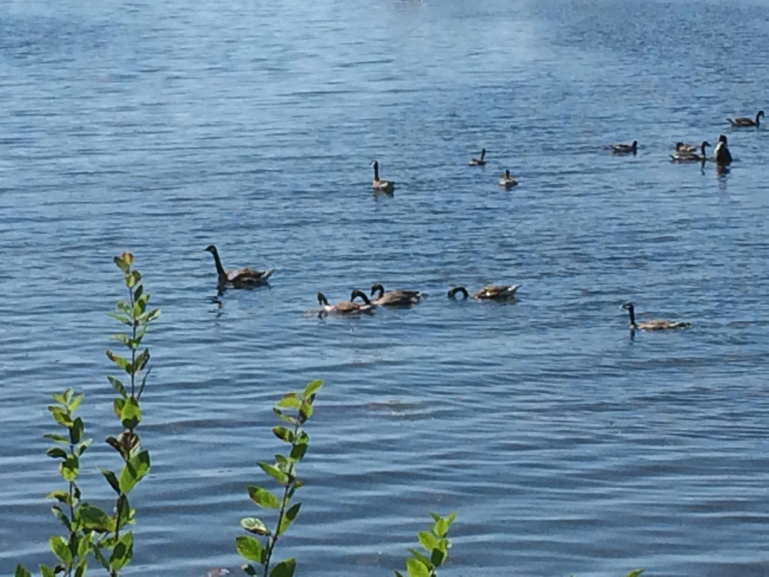 riverscape-counseling-gallery-1.jpg
