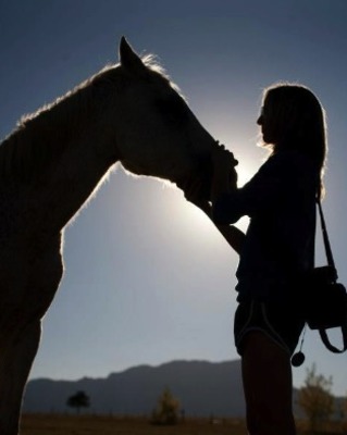 Rocky Mountain Equine Assisted Psychotherapy Image