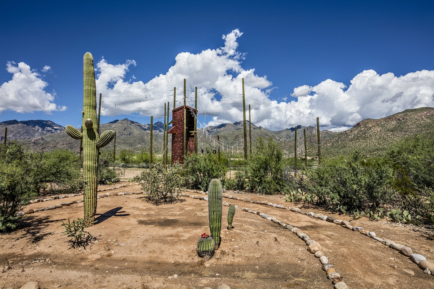 sabino-recovery-gallery-3.jpg