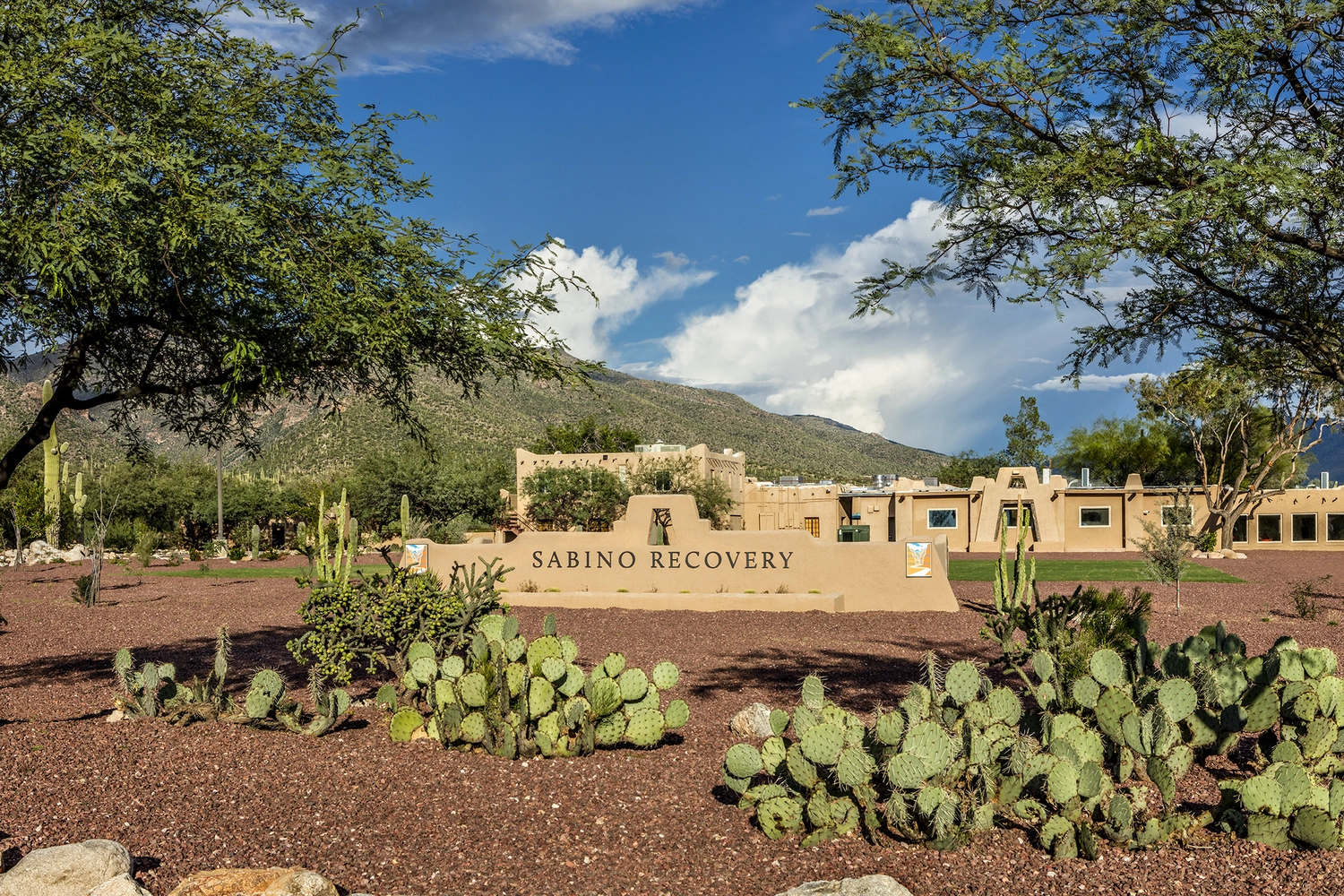 sabino-recovery-gallery-4.jpg