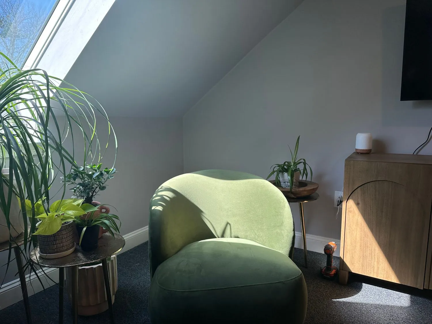 sunlight-wellness-and-recovery-gallery-3.jpg