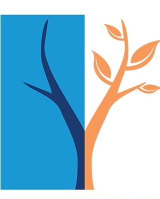 The Discovery Institute Detox Image