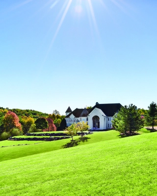 The Manor Image