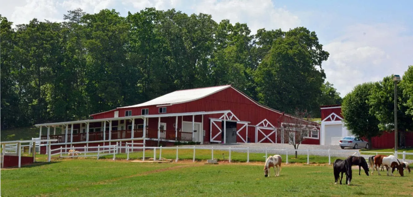 the-stables-autism-program-gallery-1.png