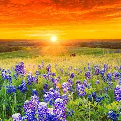 touchstone-ranch-recovery-center-gallery-1.jpg