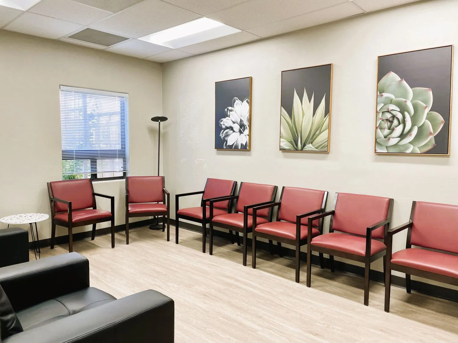 transitions-counseling-and-consulting-tucson-az-gallery-3.jpg