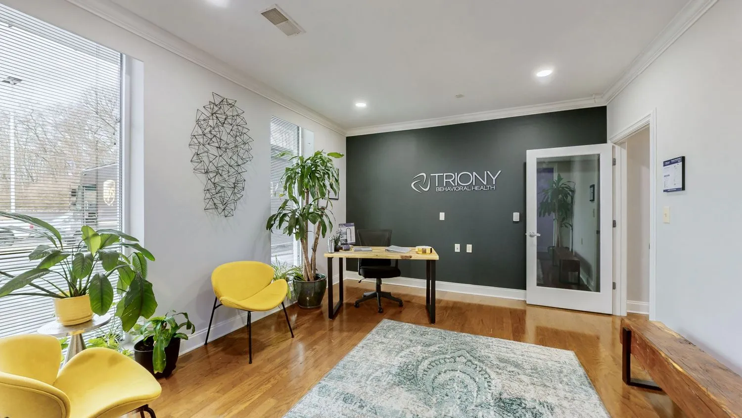 triony-behavioral-health-gallery.jpg