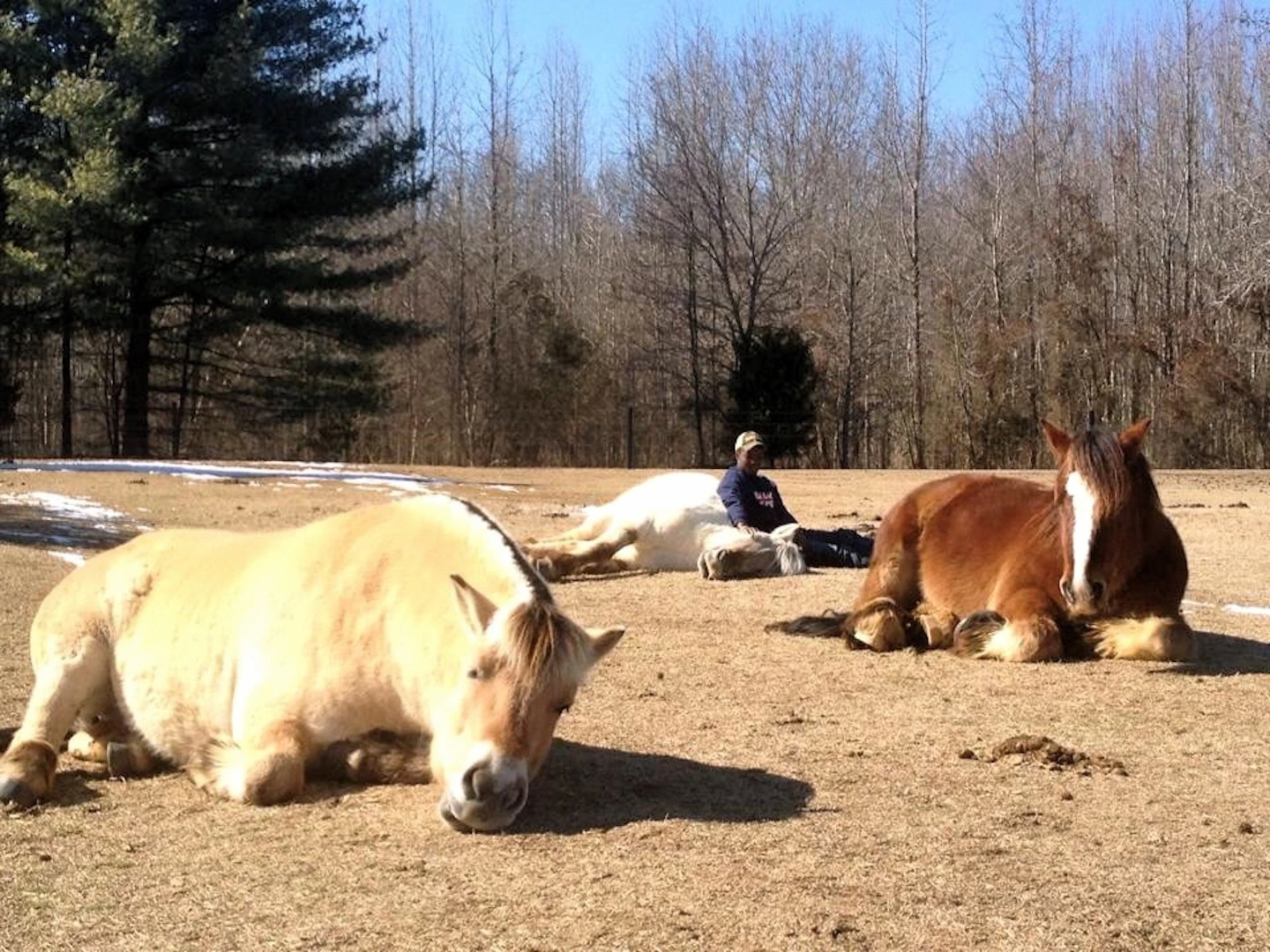 triple-play-farm-llc-gallery.jpg