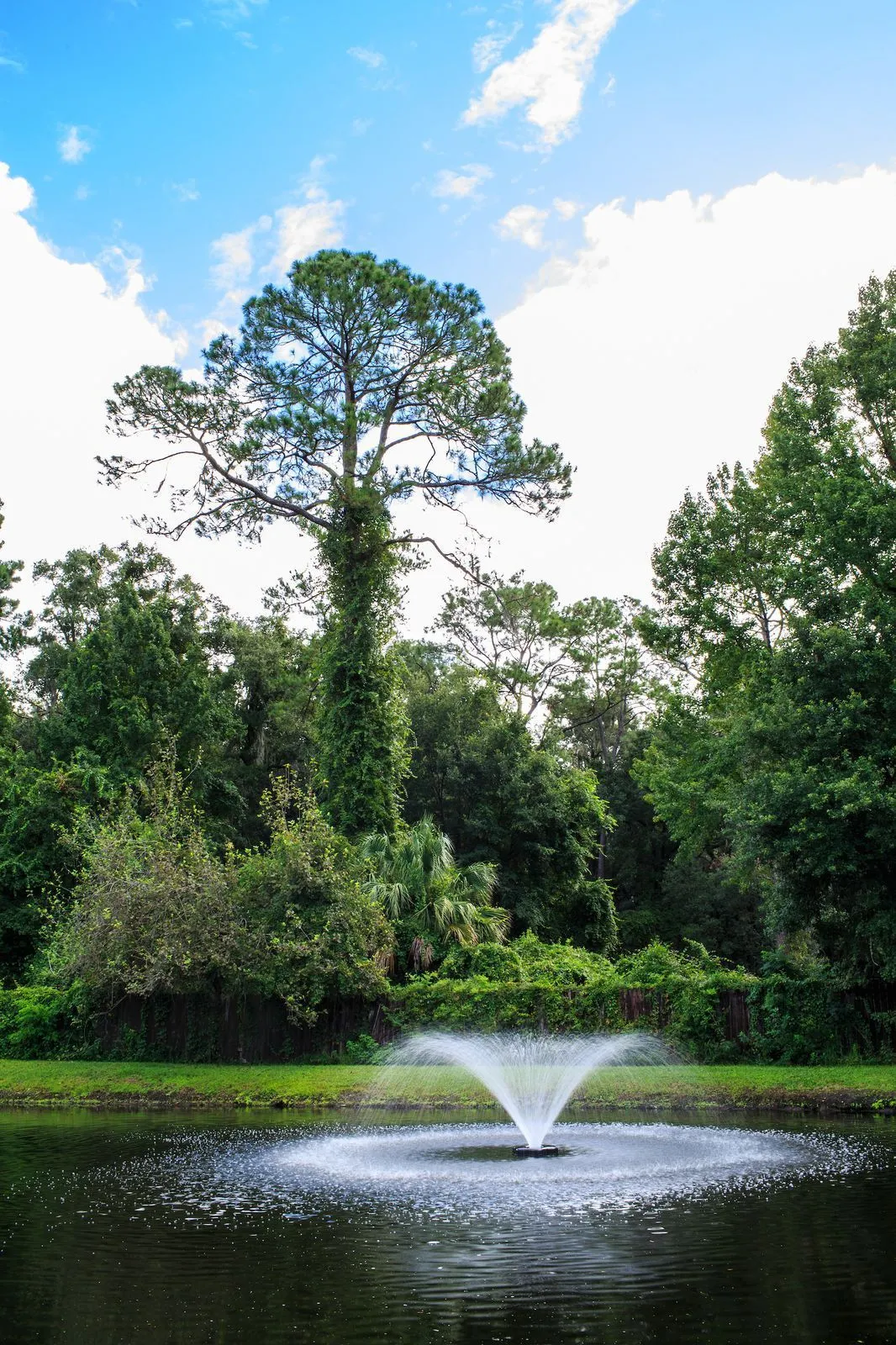 uf-health-florida-recovery-center-gallery-4.jpg