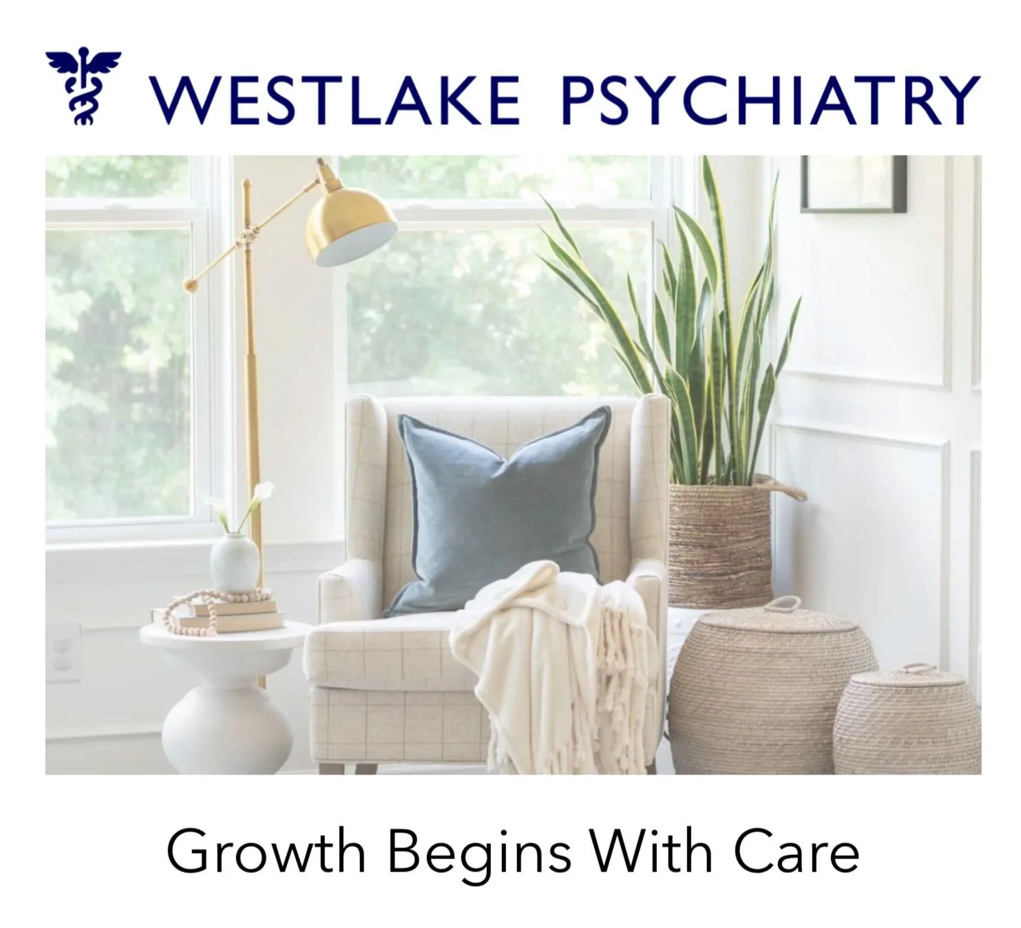 westlake-psychiatry-gallery-1.jpg