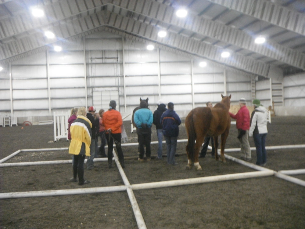 zumas-equine-assisted-learning-gallery-4.jpg