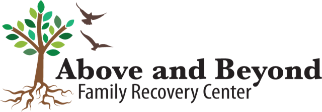 Above and Beyond Family Recovery Image