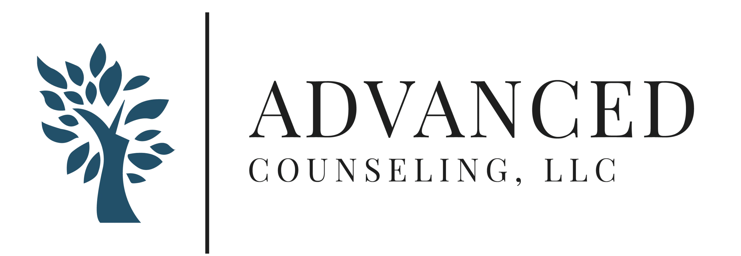 Advanced Counseling Image