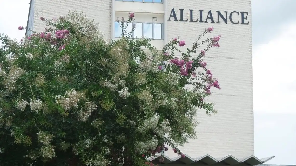 alliance-health-center-gallery.jpg