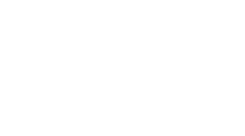 Arab American and Chaldean Council Image