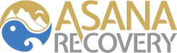 Asana Recovery Image
