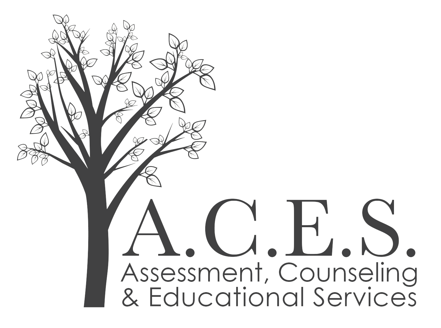 Assessment Counseling and Educational Services Image