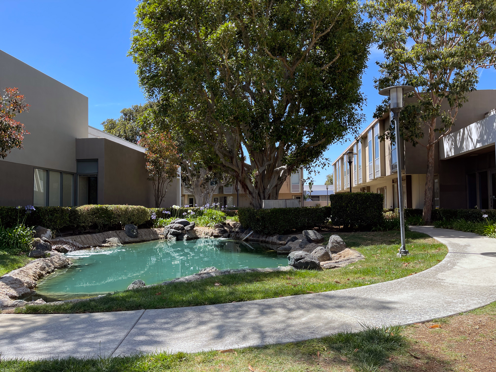 blue-coast-behavioral-health-gallery-4.jpg