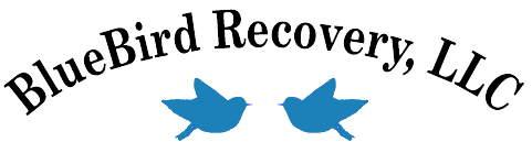 Bluebird Recovery Image