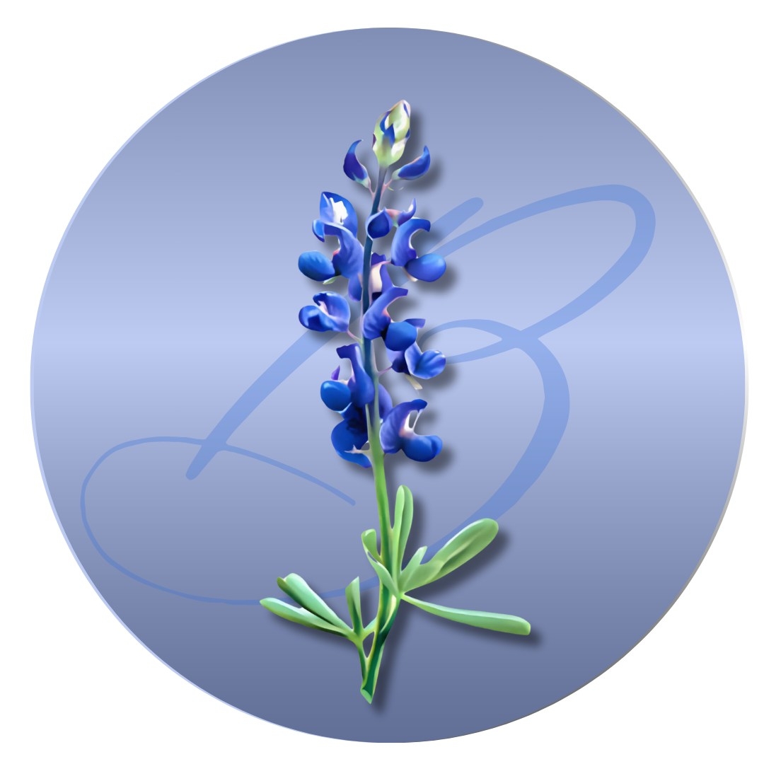 Bluebonnet House Image