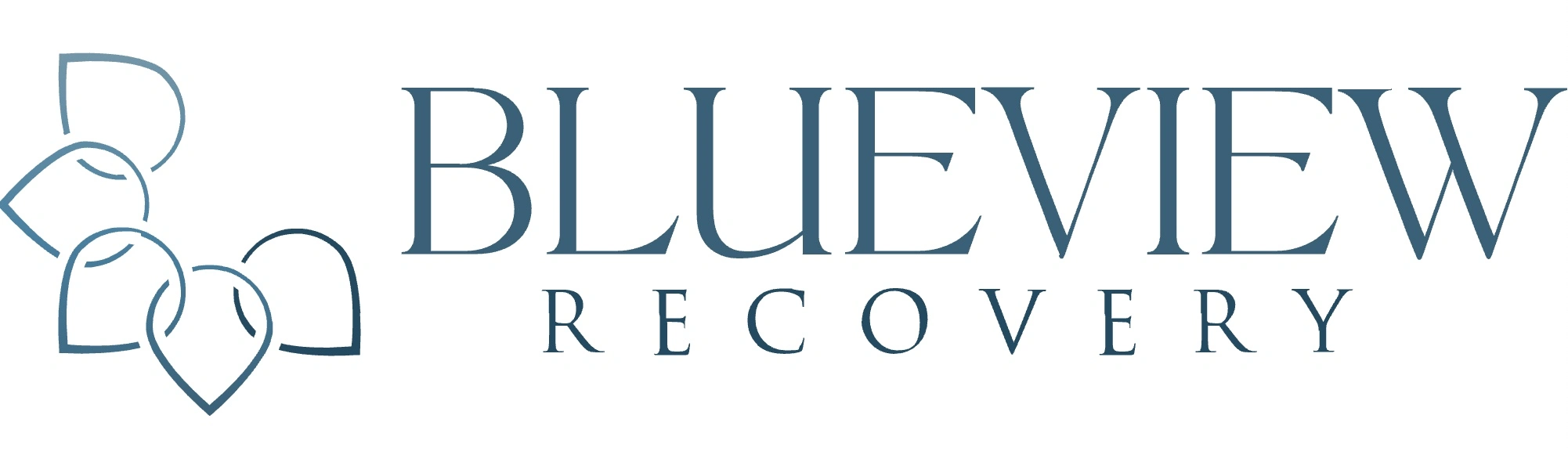 Blueview Recovery Image