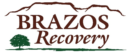 Brazos Recovery Image