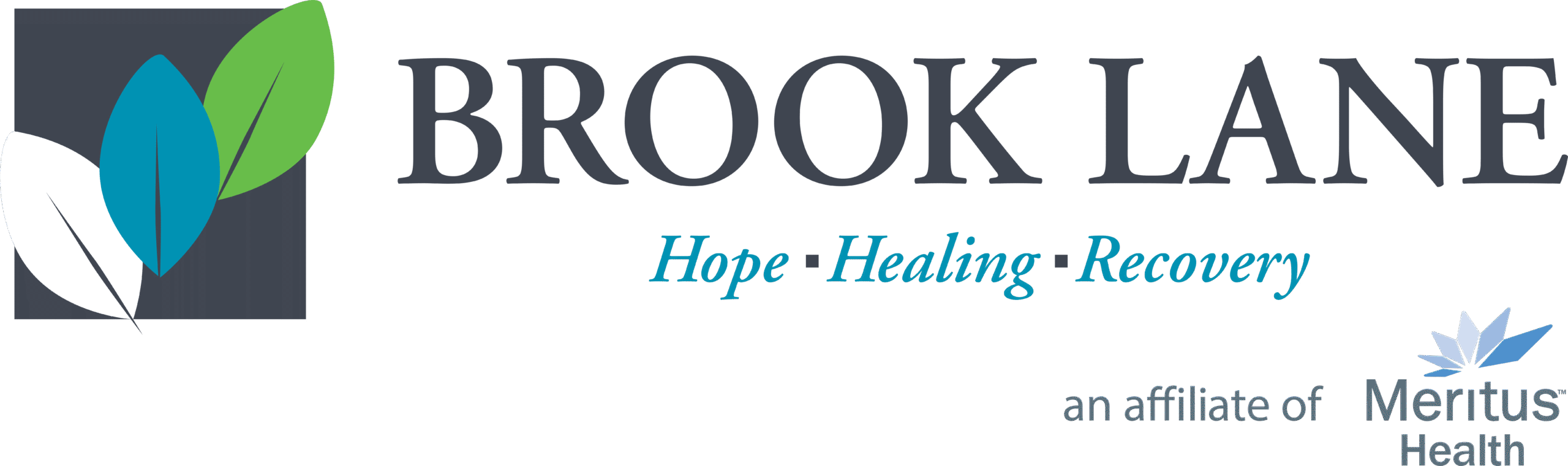 Brook Lane Health Services North Village Image