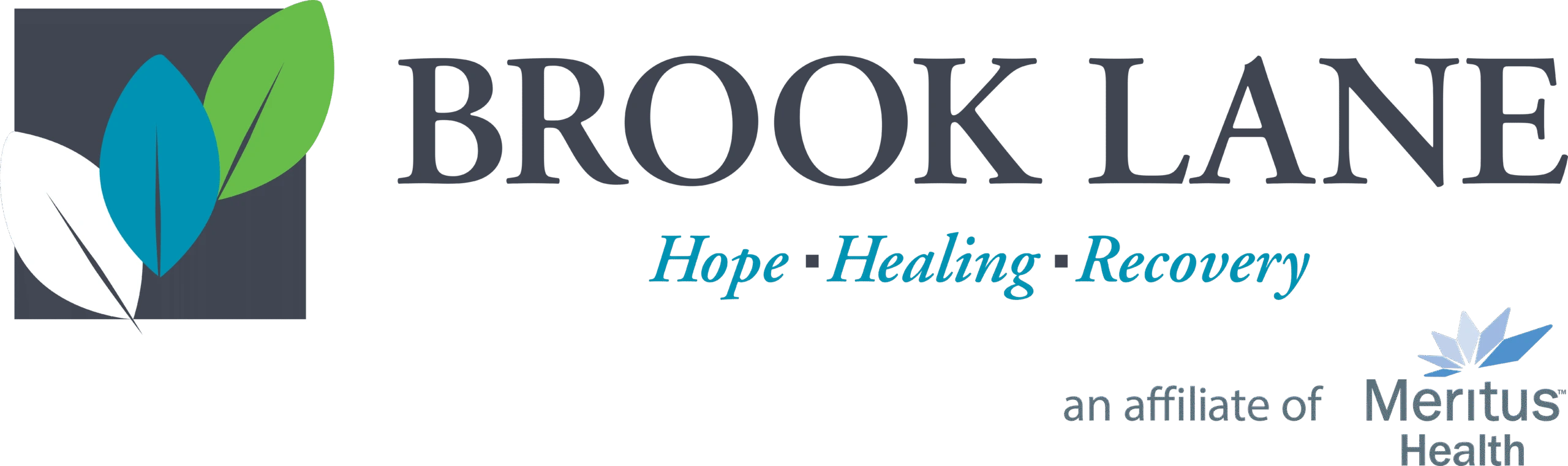 Brook Lane Health Services North Village Image