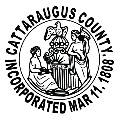 Cattaraugus County Community Services Foundations for Change PROS Program Image