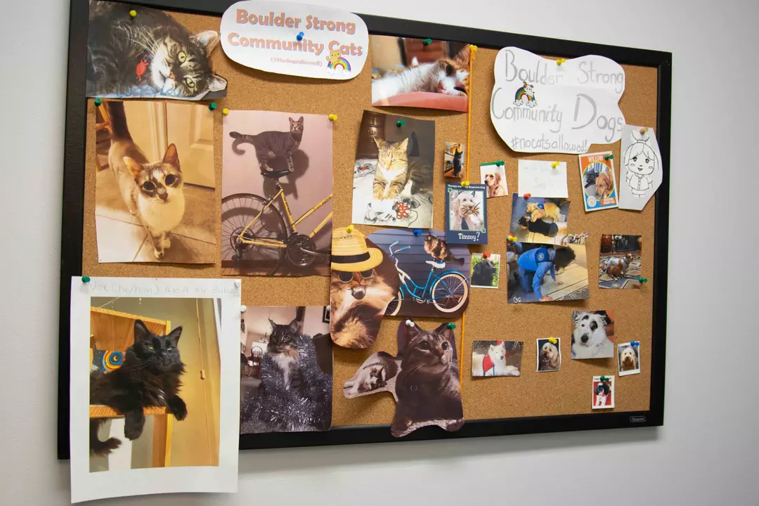 clinica-family-health-wellness-boulder-strong-community-center-gallery-2.webp